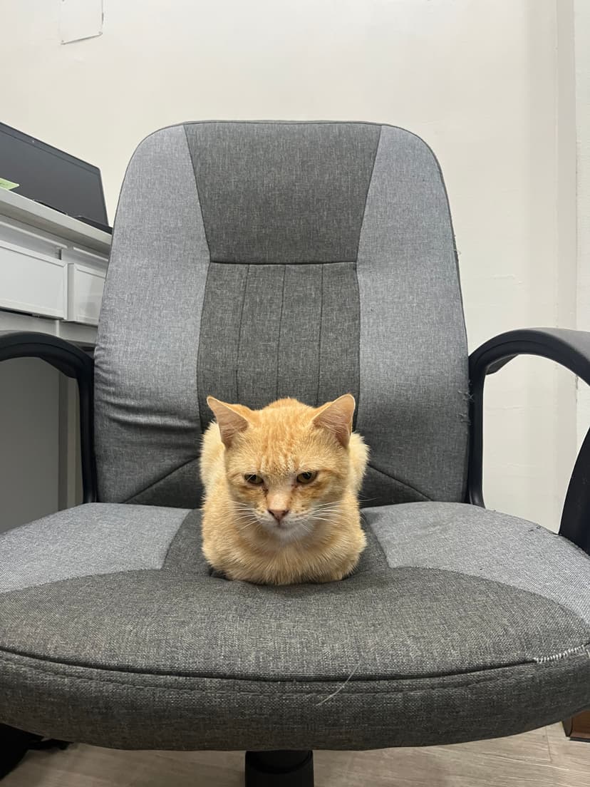 Examination Room - Comprehensive check-ups and consultations