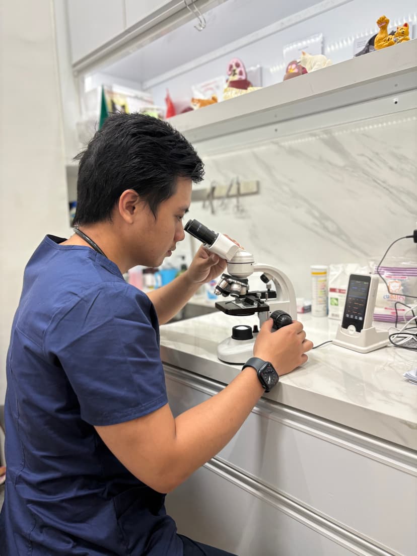 Laboratory - Blood tests and diagnostic services