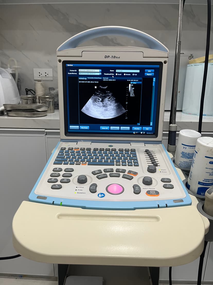 Ultrasound Equipment - Advanced diagnostic imaging