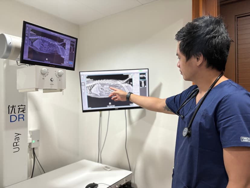 X-Ray Machine - Digital radiography equipment